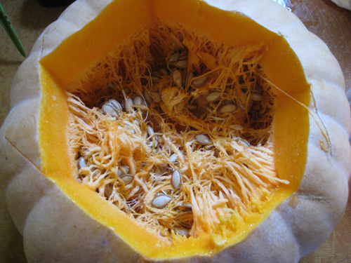 A view inside one of the pumpkins