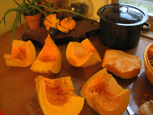 Sections of cheese pumpkin